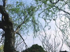 -花溪公园