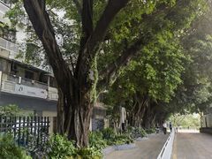 -人民公园(罗湖区)