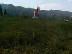 -井冈山风景名胜区