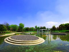 -西山漾湿地公园