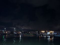 -蓝湾碧波·老字号·疍家非遗海上餐厅