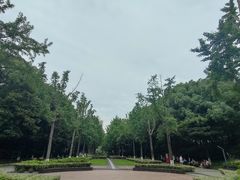 -苏州河梦清园环保主题公园