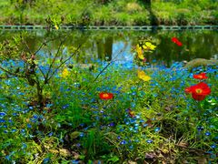 -上海共青森林公园