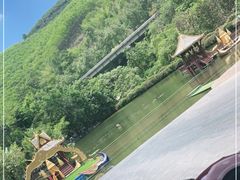 -西双版纳原始森林公园