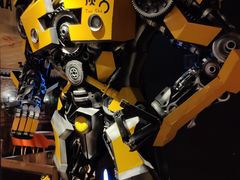 大黄蜂-炭舍干锅·烤鱼(扬名广场店)