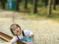 -上海浦江郊野公园-5号停车场