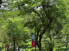 -广州市白云山风景名胜区