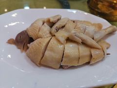 -鸿达渔港