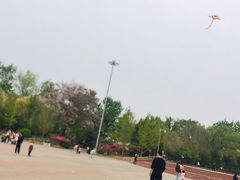 -朝阳公园游乐园