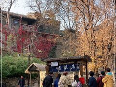 -古北烤梨