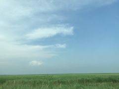 -哈素海