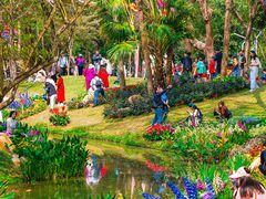 -人民公园(罗湖区)