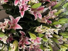 -南汇花鸟市场(上海浦东新花卉店)