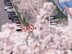 -幕燕滨江·燕子矶公园