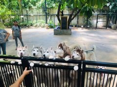 -TrueLove @ Neverland (Husky Cafe)