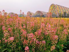 -中国天府农业博览园