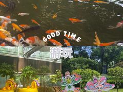 -南宫五洲植物乐园