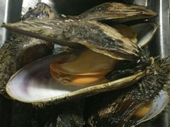 -威海小海鲜大排档胖哥烧烤(双井店)