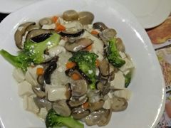 菌菇豆腐饭-南都咖啡西餐厅(天誉店)
