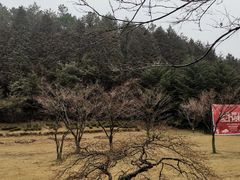 -四明山国家森林公园