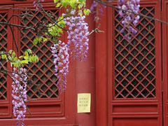 -北京国子监胡同