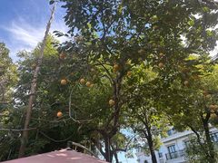 -湖庭壹品鸭王·传统北京烤鸭·别墅私房菜·庭院宵夜(江宁店)