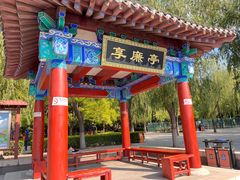 -莲花池公园