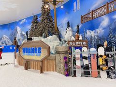 -湘江欢乐城欢乐雪域