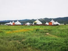 -敕勒川草原
