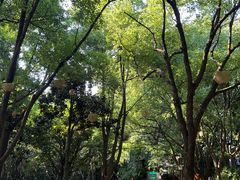 -天目湖山水园