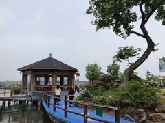 -鹅湖玫瑰文化园