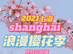 -顾村公园