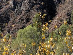 -百里山水画廊乌龙峡谷