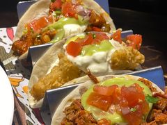 -Famous肥猫墨西哥音乐餐吧(五棵松华熙LIVE店)