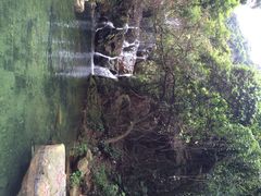 iphone_upload_pic-鼎湖山风景区