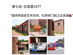 -日照海滨国家森林公园