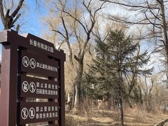 -长春市南湖公园