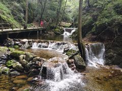 -牛背梁国家森林公园