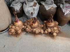 -大灶头·新昌菜(中国茶市店)