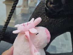 -富国岛珍珠游乐园