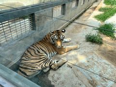 -龙口动植物园