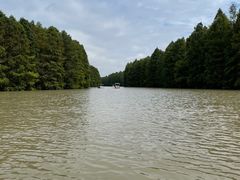 -上海海湾国家森林公园