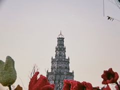 -荷兰花海