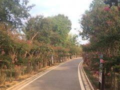 -武汉紫薇都市田园