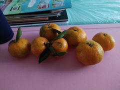 -宝荣鱼馆·临湖之宴(千岛湖店)