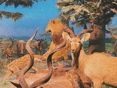 -国家自然博物馆