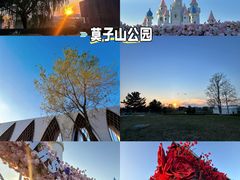 -莫子山公园