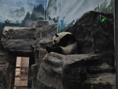 -鄂尔多斯野生动物园