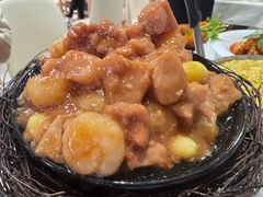 -丁老爷子苏香圆