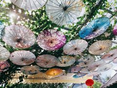 -海韵人家.海景花园经典云南菜(双廊店)